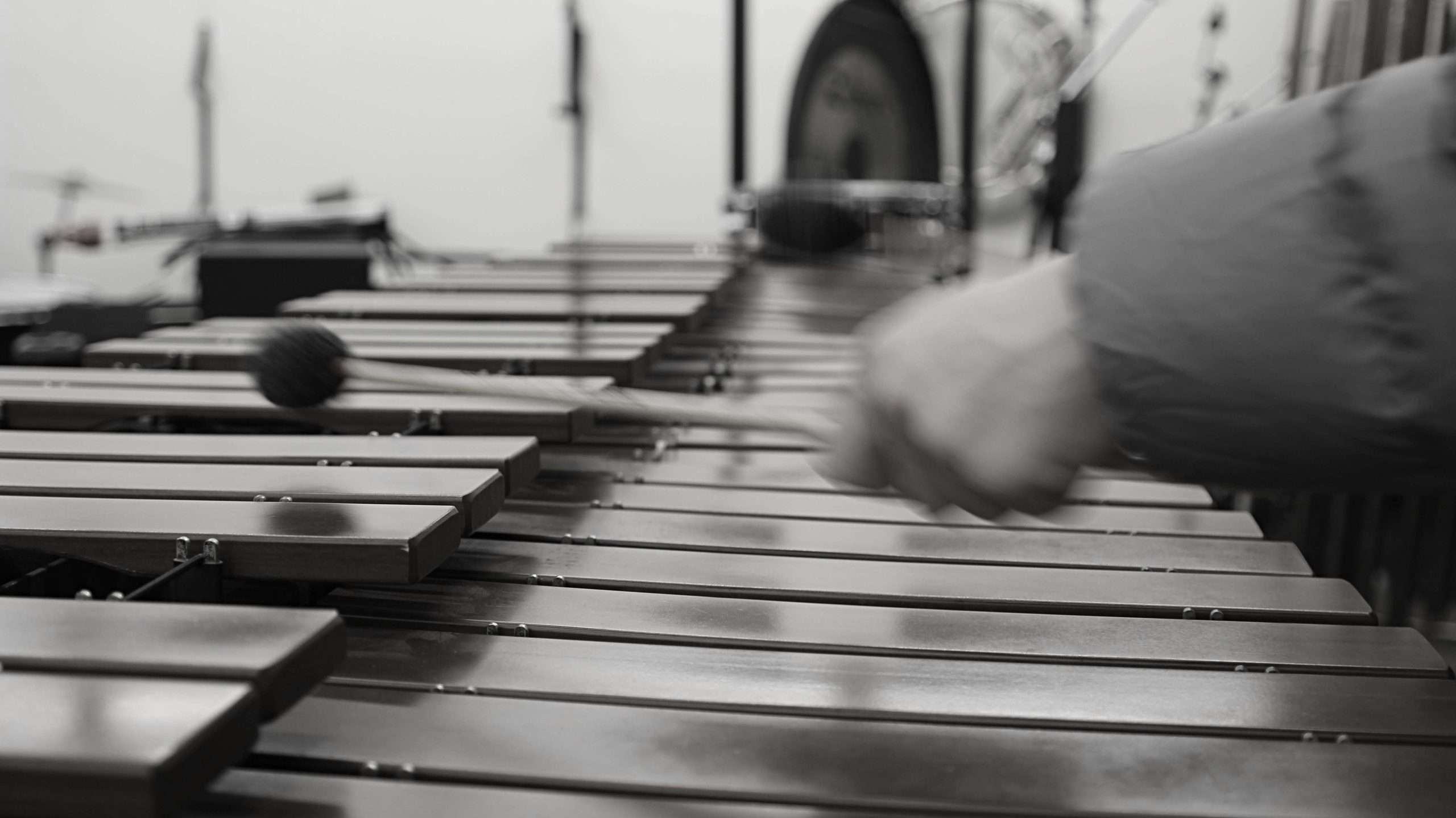 photographie xylophone