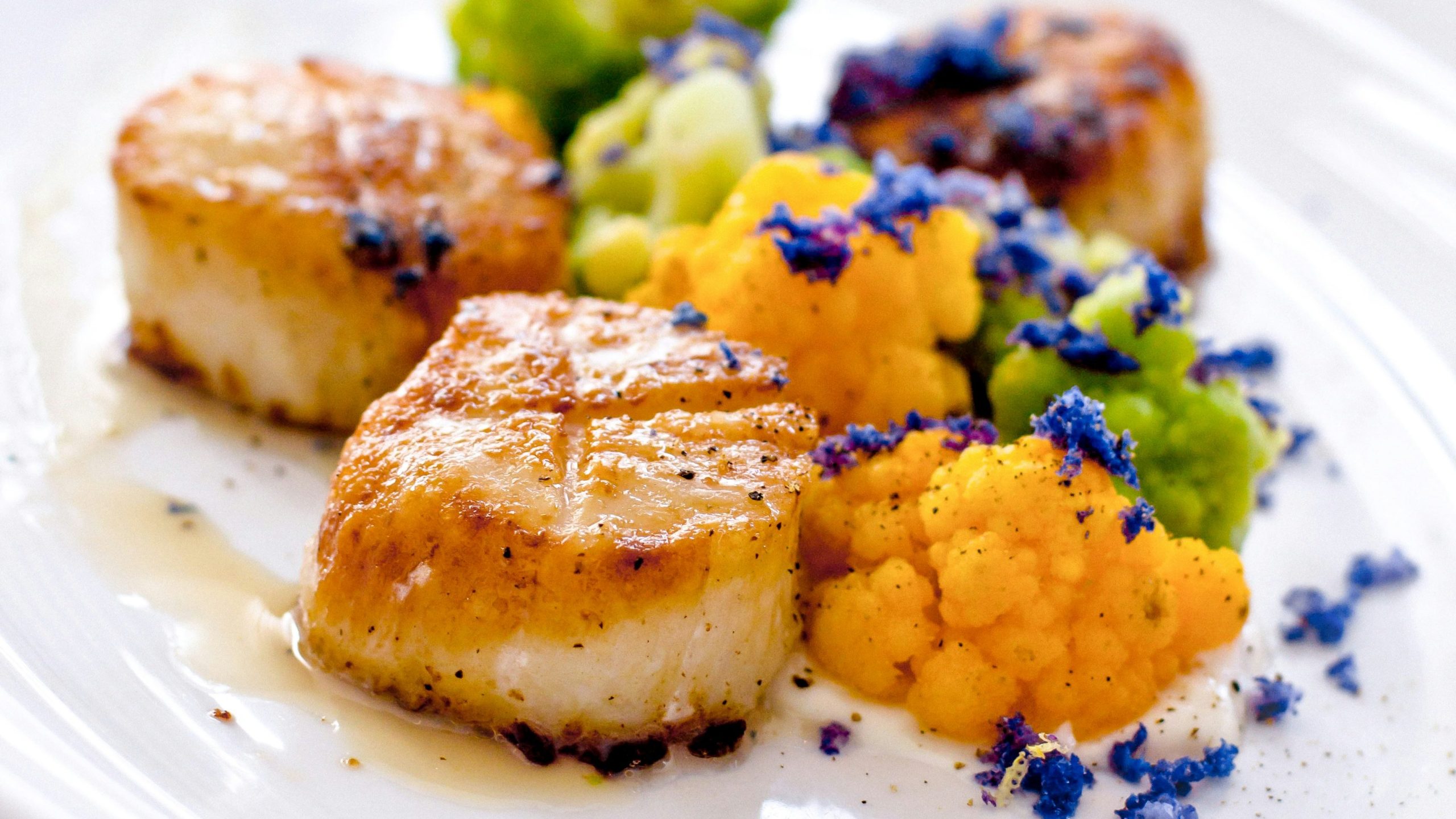 photo gros plan saint jacques avec purée