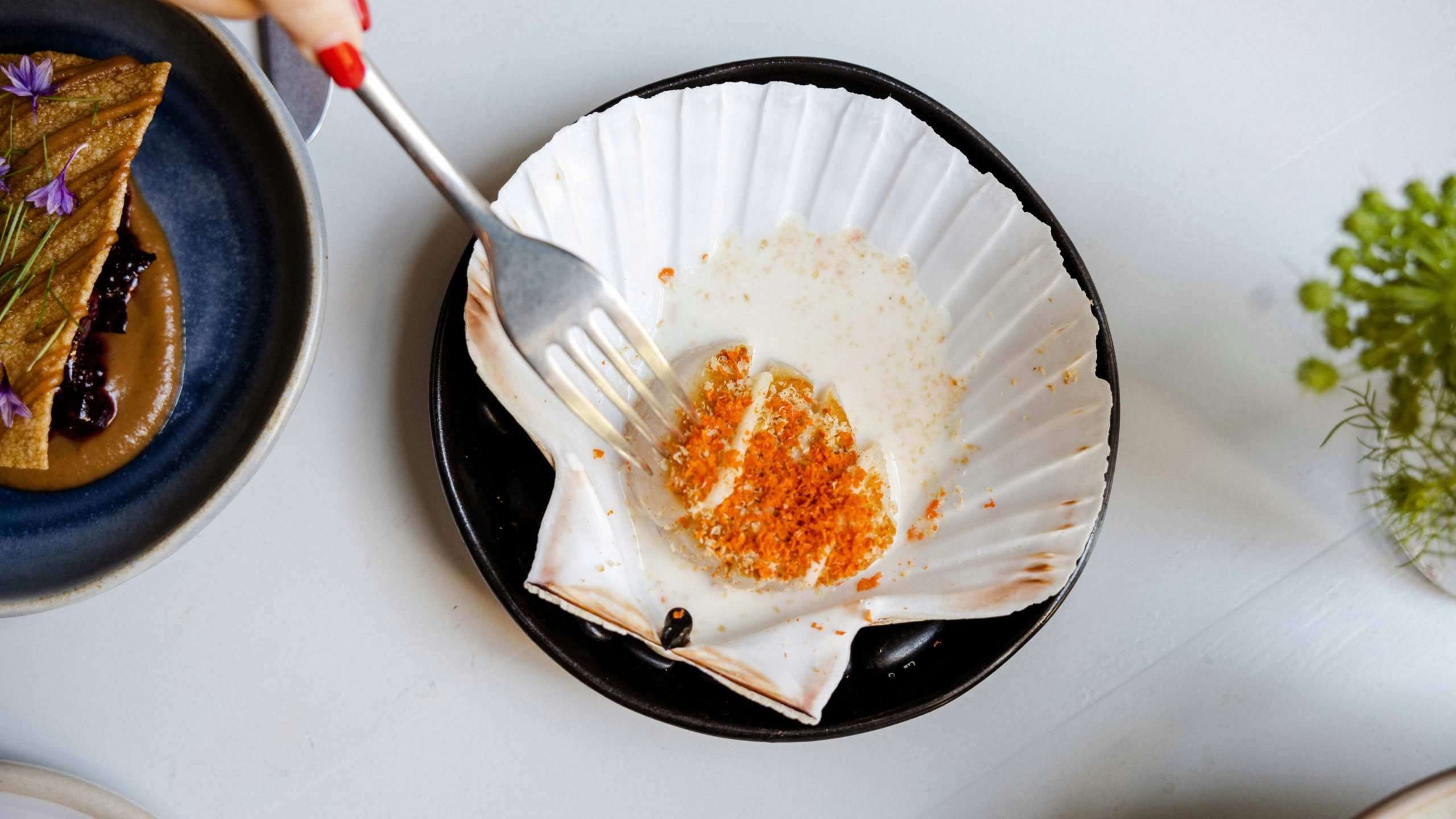 photo saint jacques avec chapelure