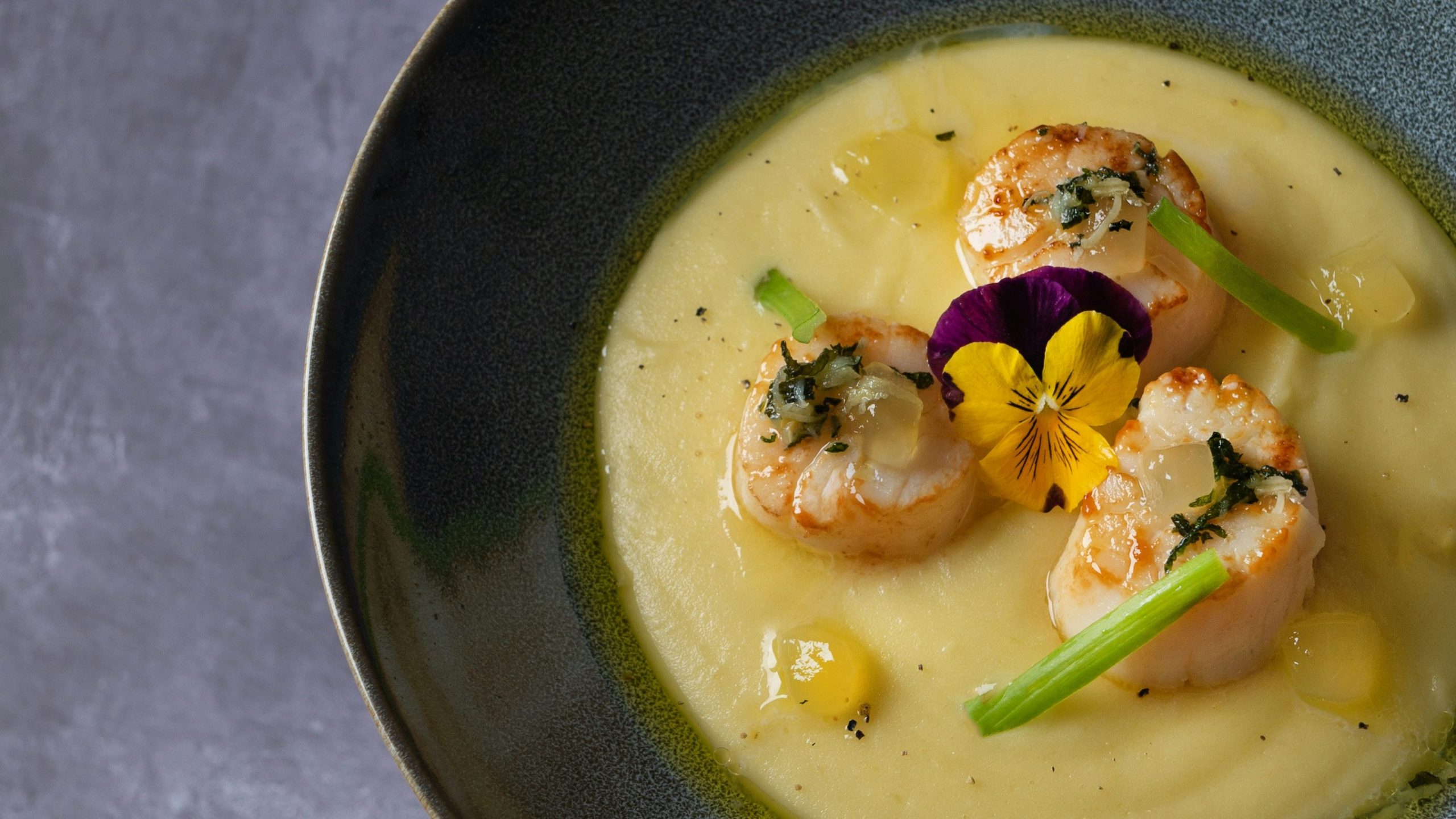 photo saint jacques avec sauce